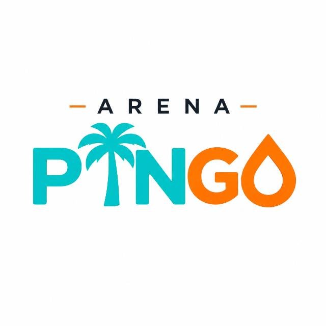 Arena Pingo